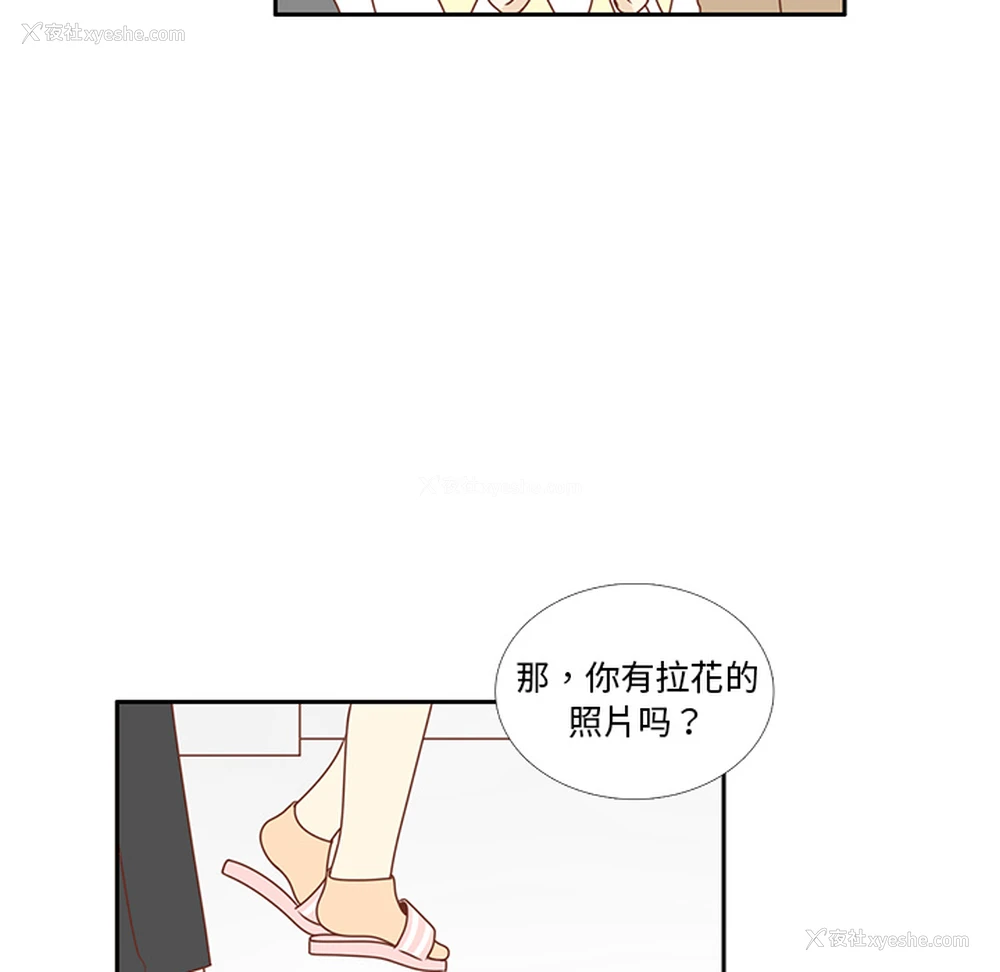 35P - 各自的春天