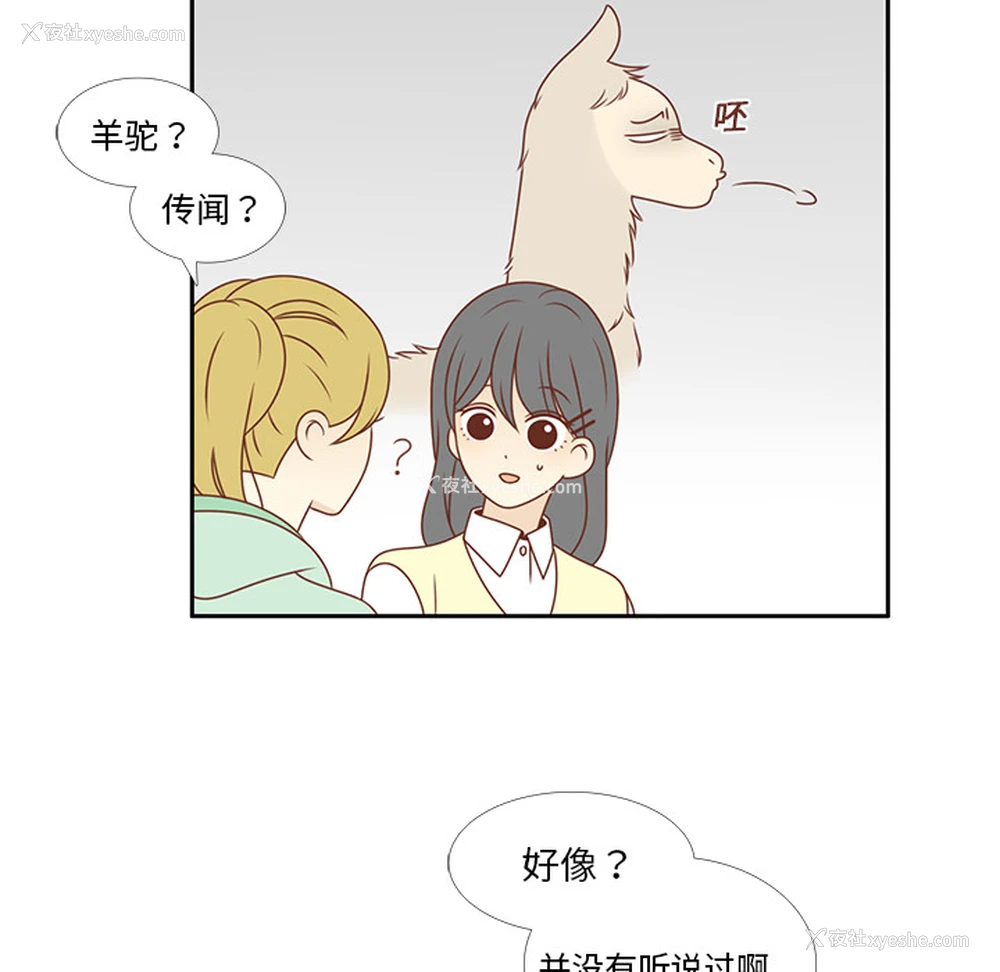 65P - 各自的春天
