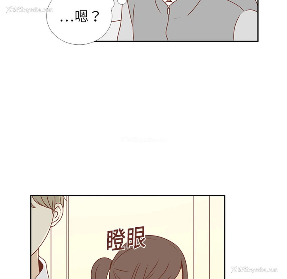 26P - 各自的春天