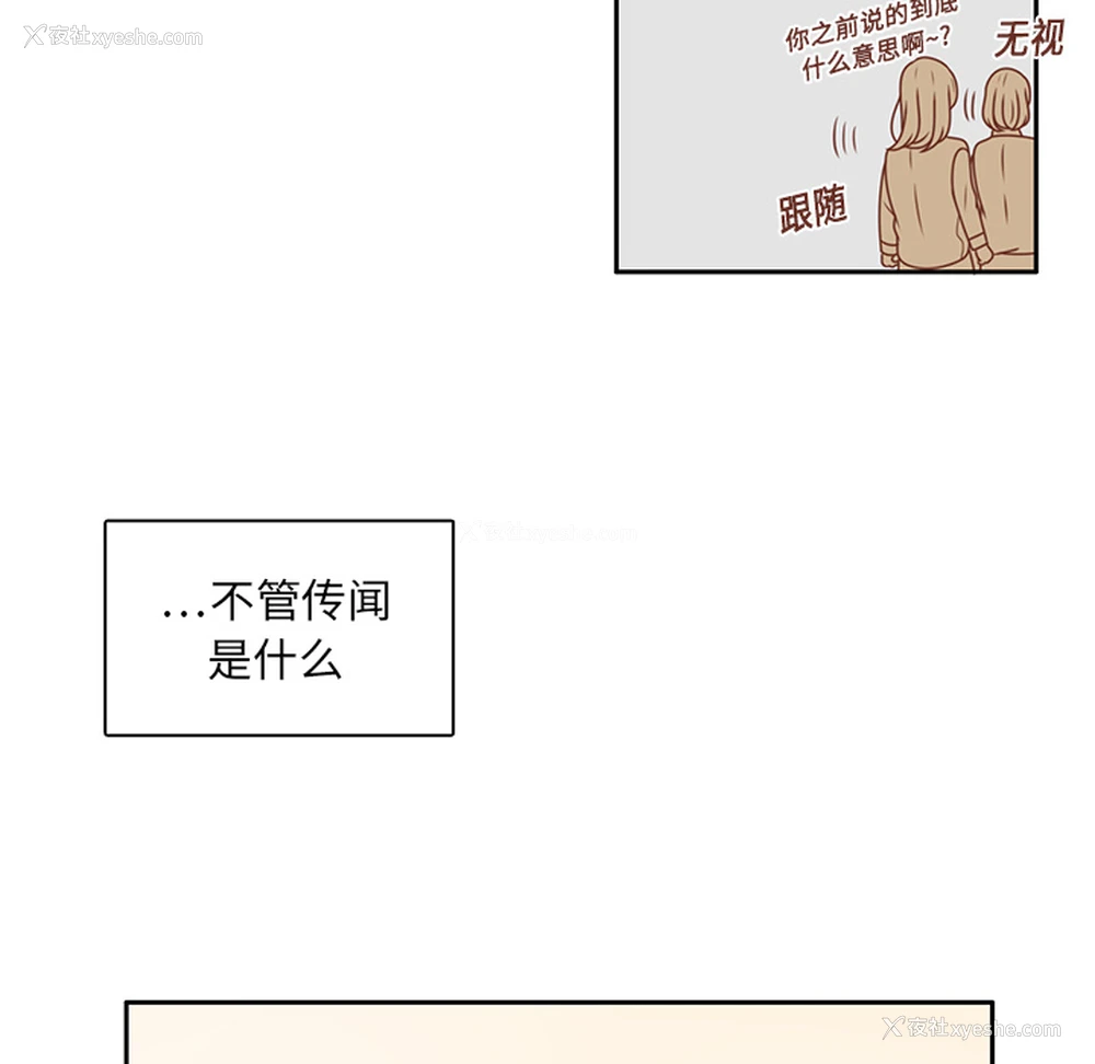 37P - 各自的春天
