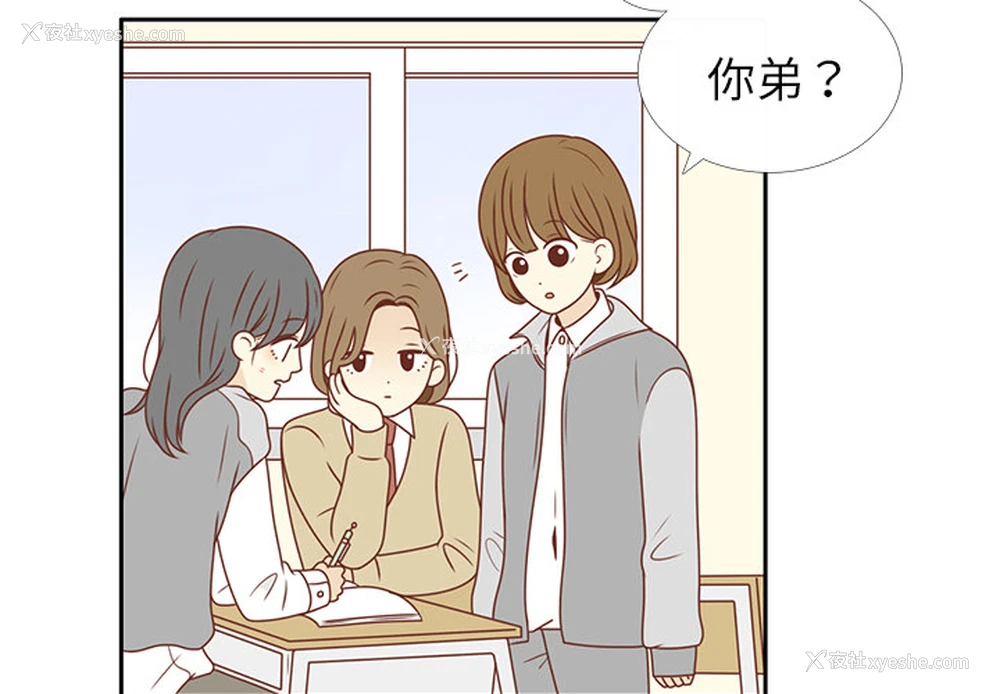 4P - 各自的春天
