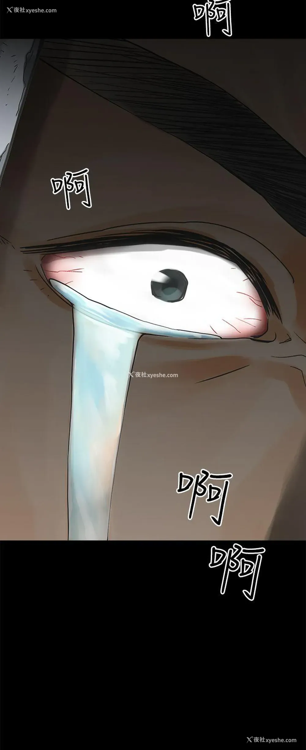 25P - 二十再重来