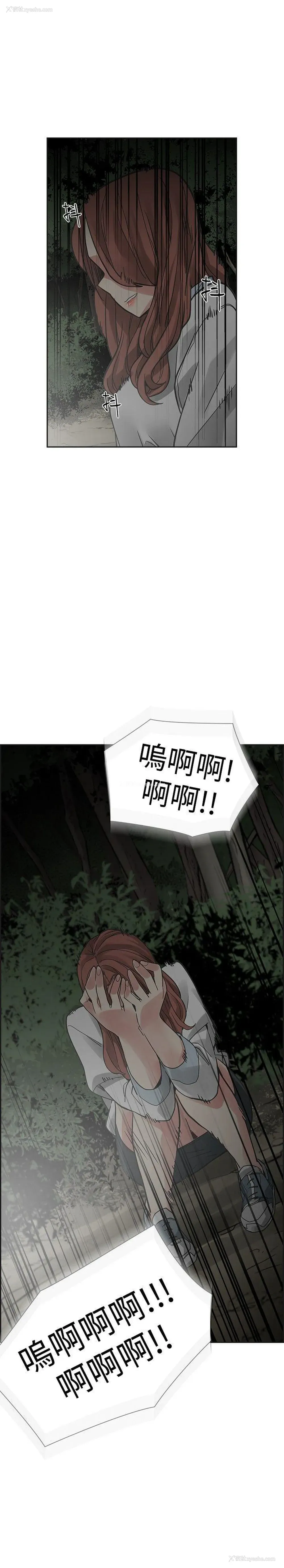 37P - 二十再重来
