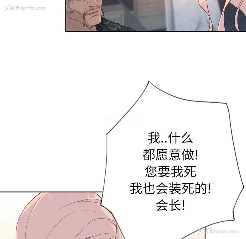 85P - 优质女人