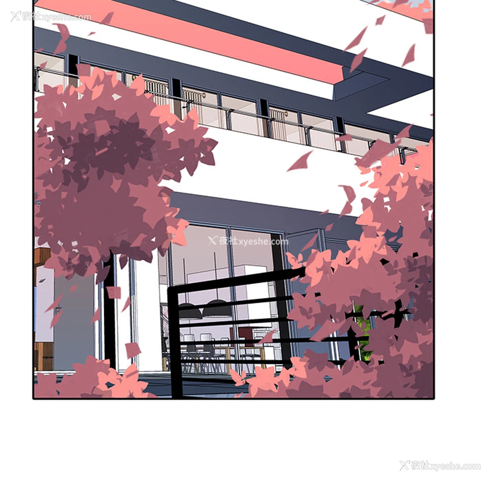 9P - 优质女人