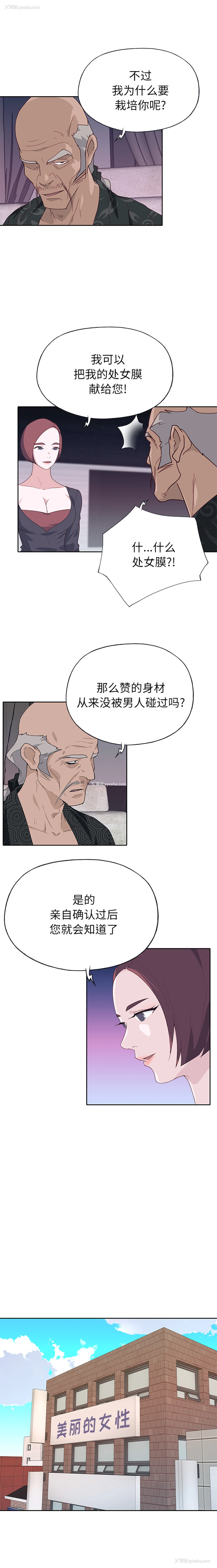 4P - 优质女人