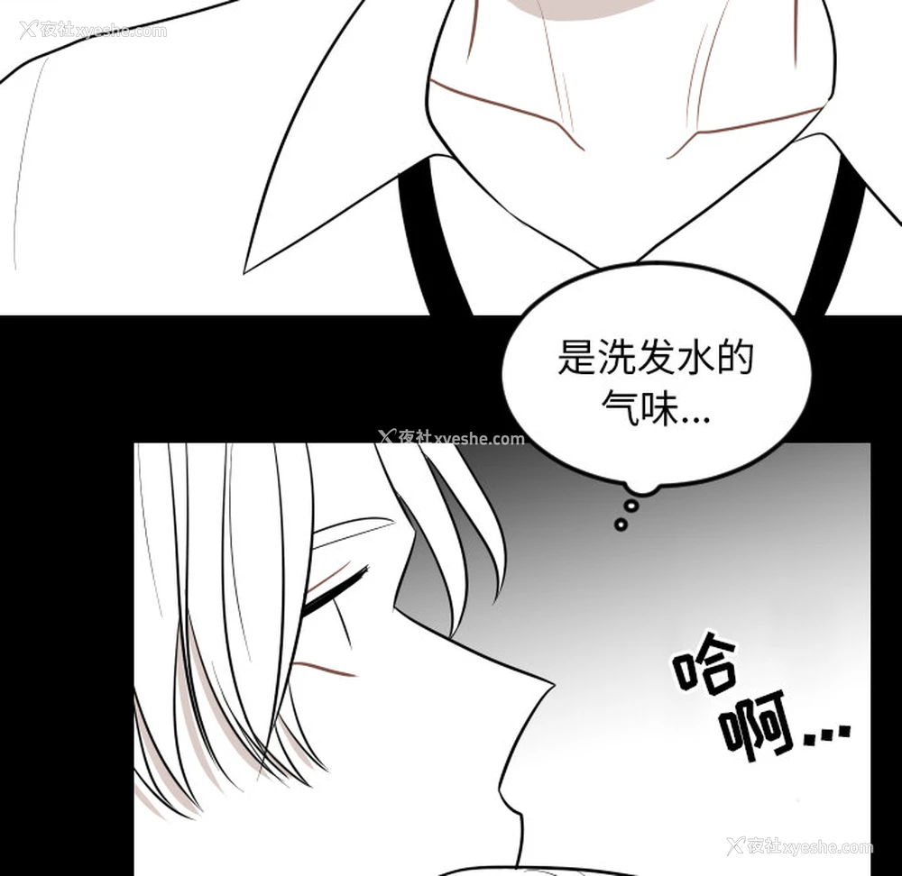 28P - 沉默的书香社