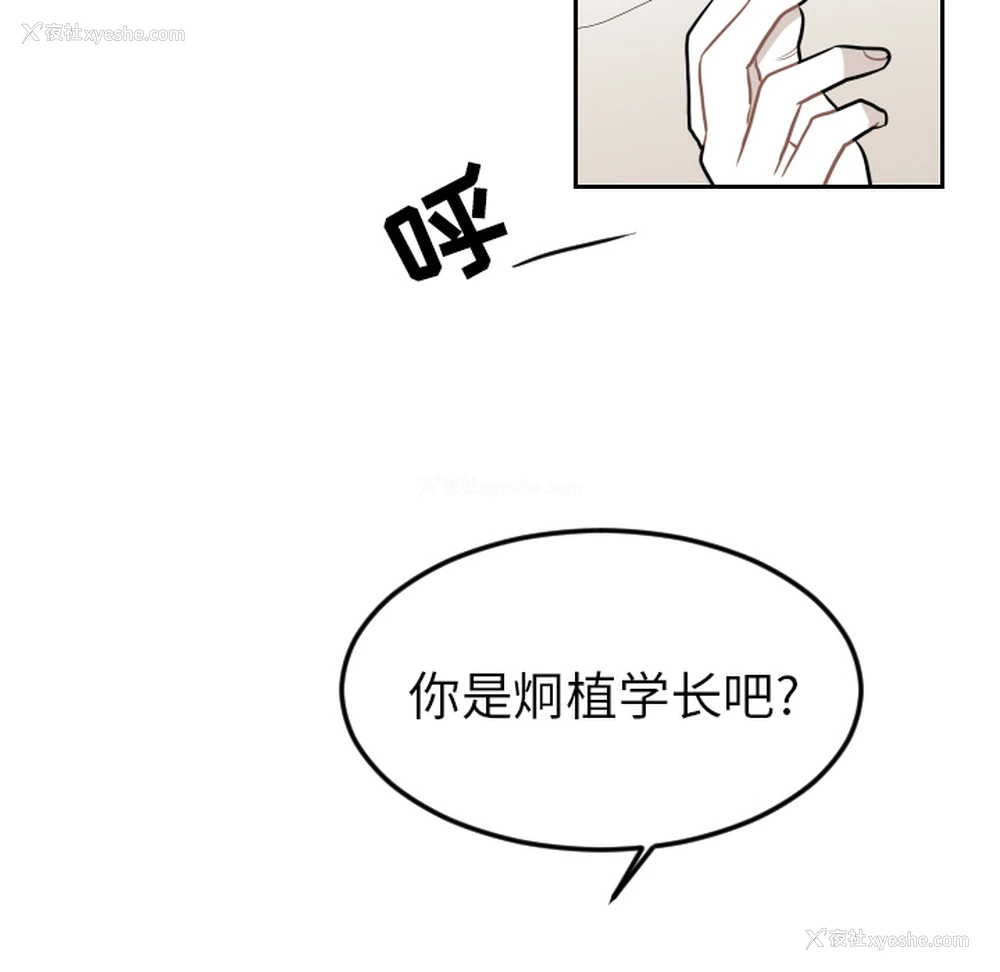 36P - 沉默的书香社