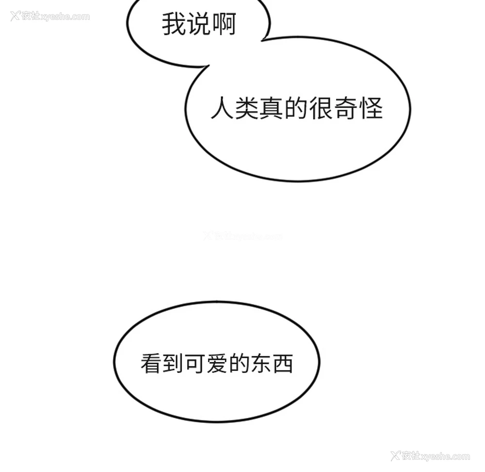 82P - 沉默的书香社