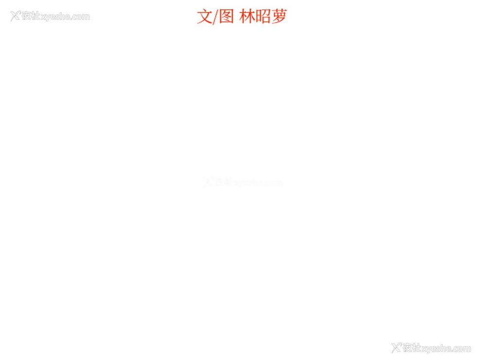 86P - 沉默的书香社