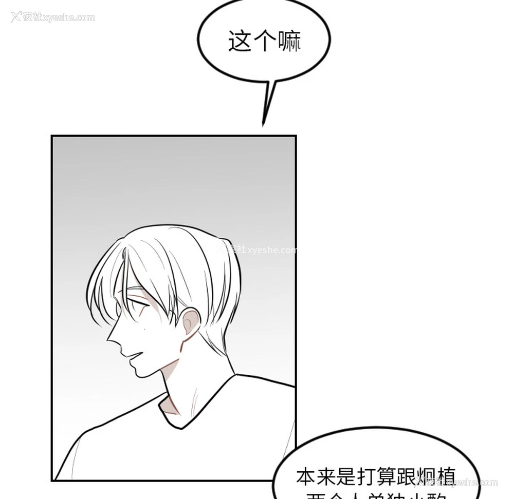 56P - 沉默的书香社
