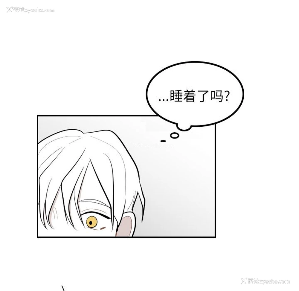 24P - 沉默的书香社