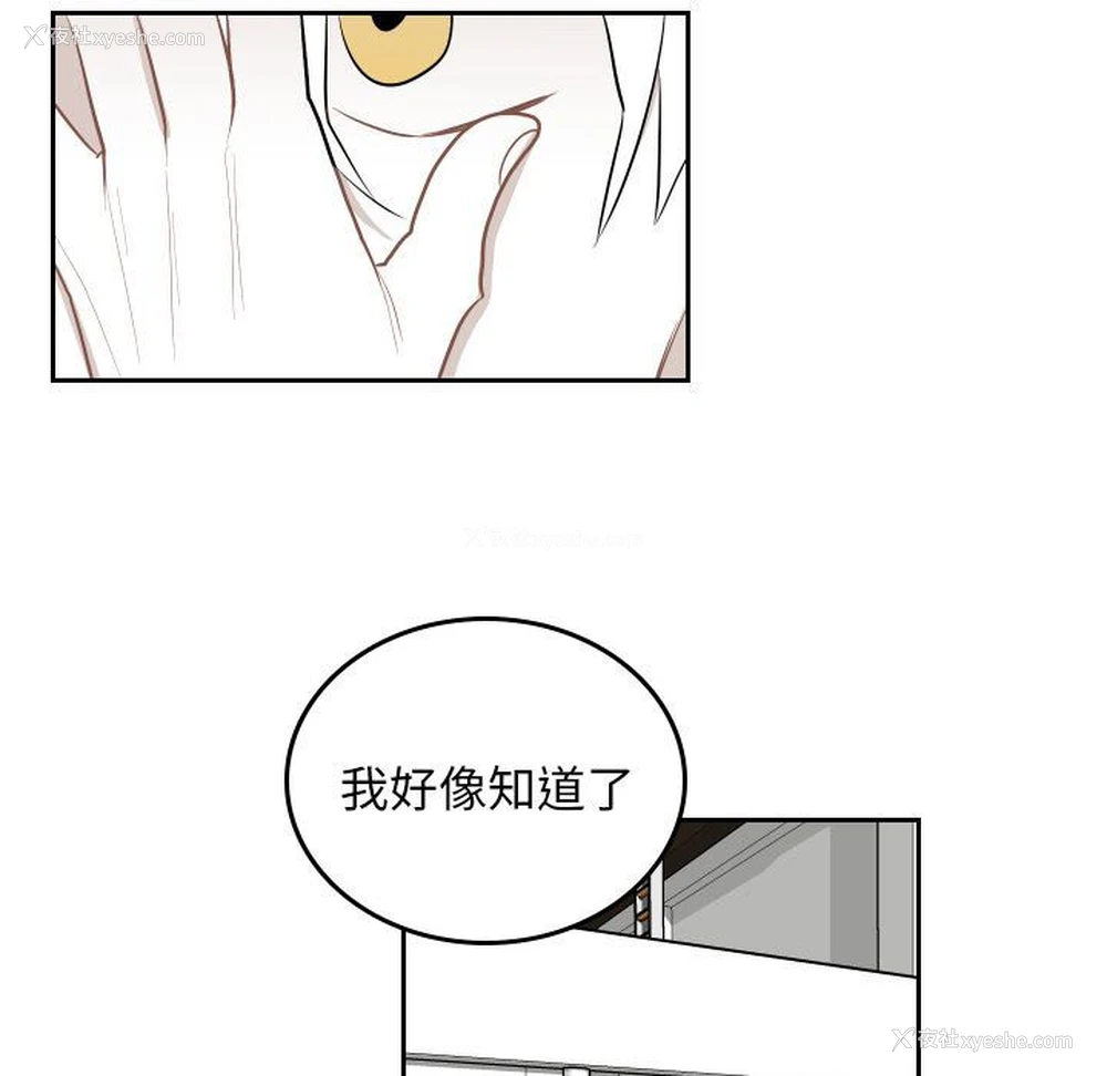 49P - 沉默的书香社