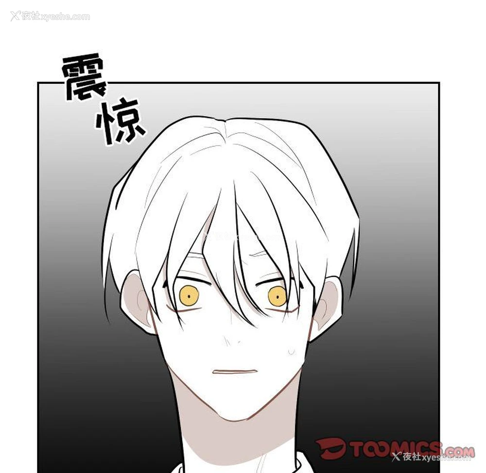 78P - 沉默的书香社