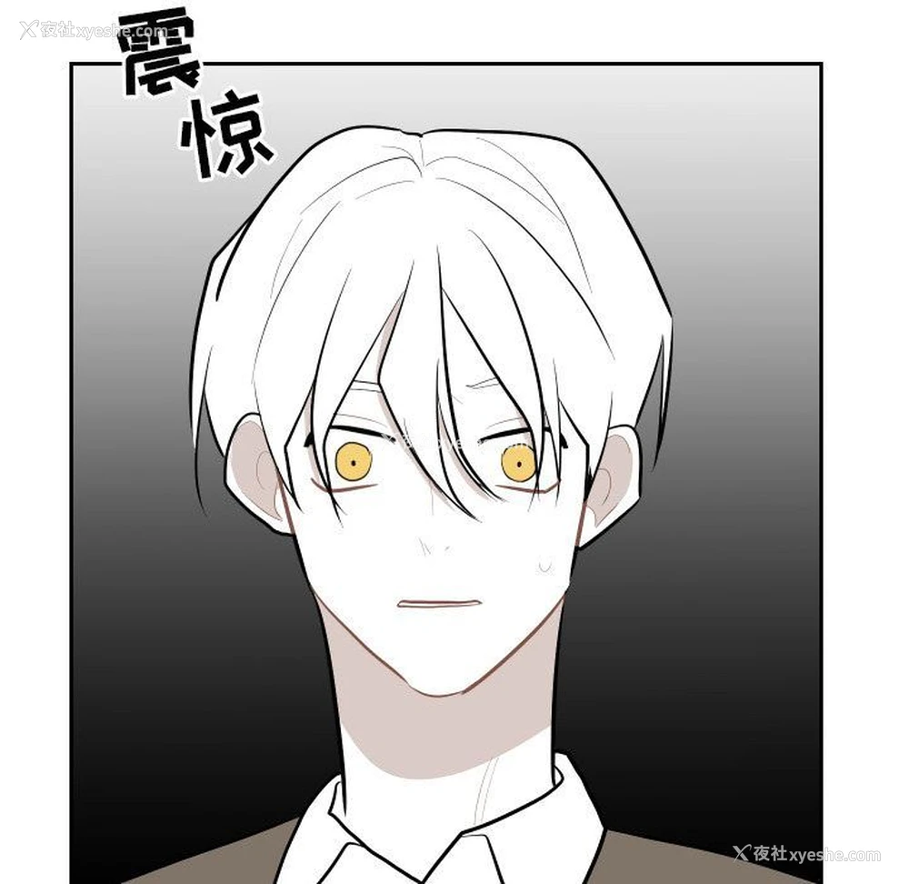 15P - 沉默的书香社