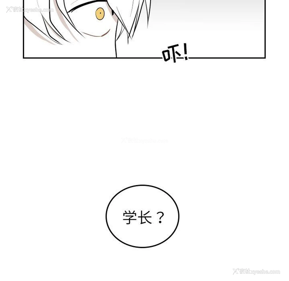 31P - 沉默的书香社