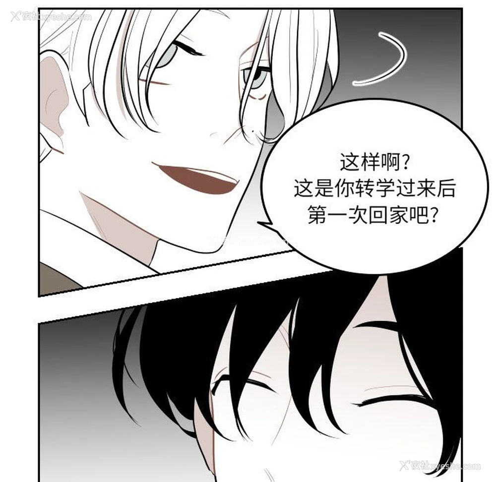 41P - 沉默的书香社