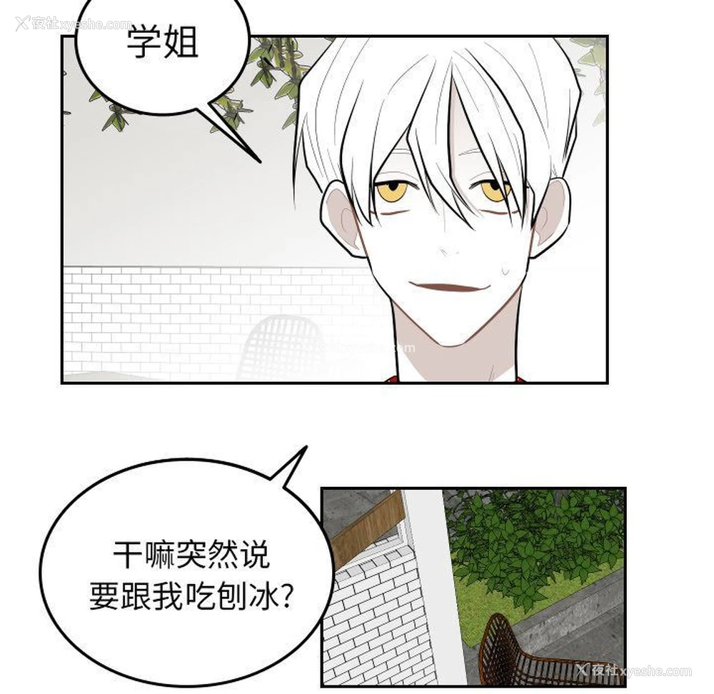 17P - 沉默的书香社