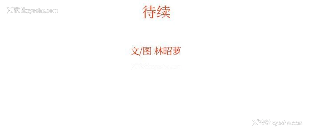 92P - 沉默的书香社