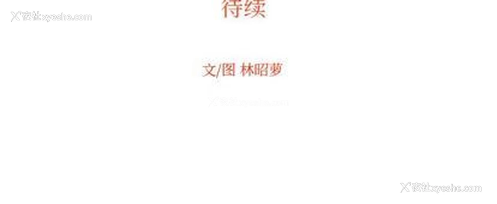 89P - 沉默的书香社