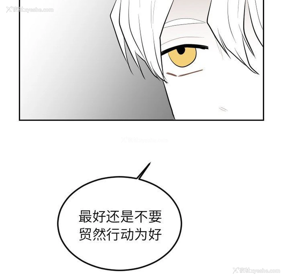 8P - 沉默的书香社