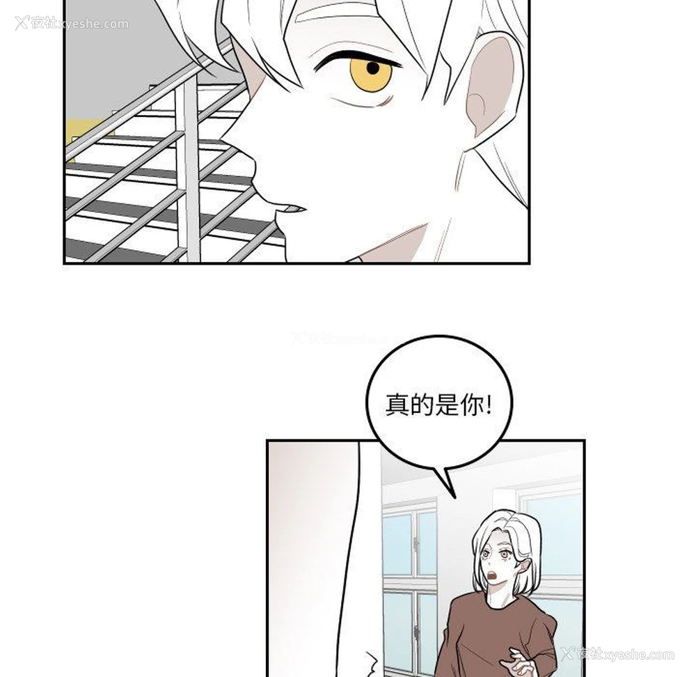31P - 沉默的书香社