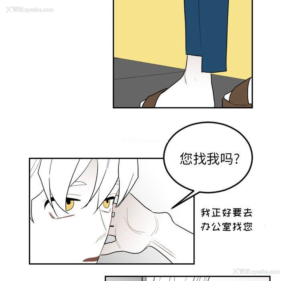 35P - 沉默的书香社
