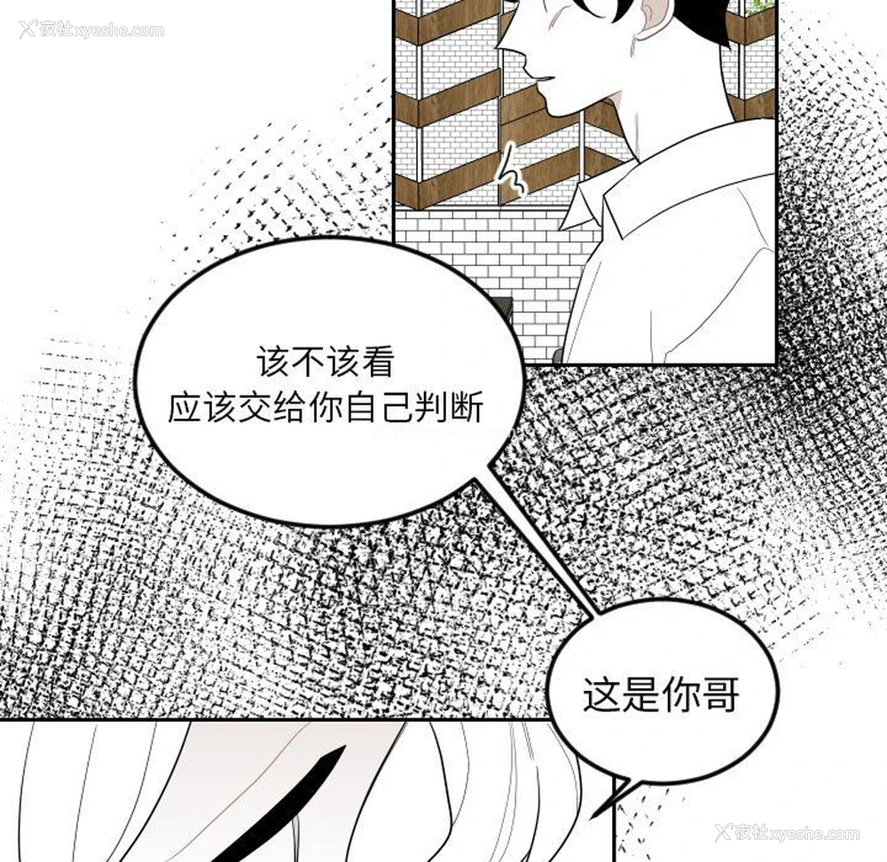 11P - 沉默的书香社