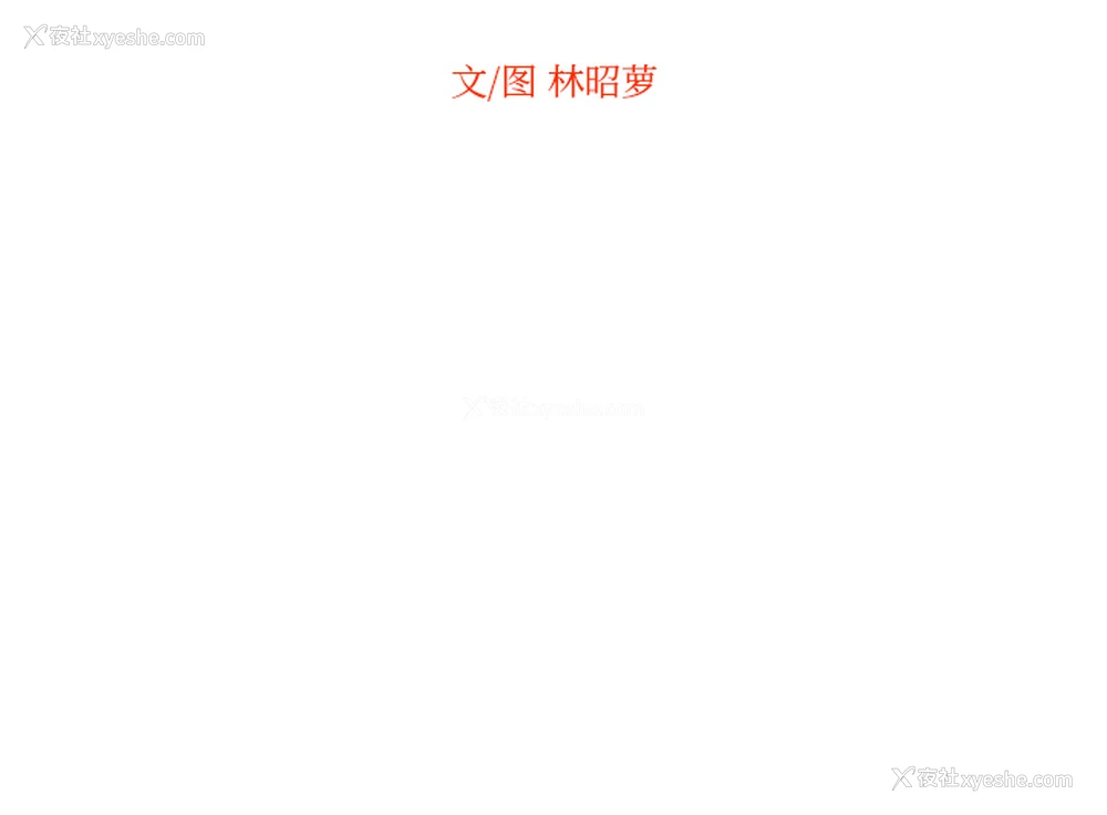 91P - 沉默的书香社