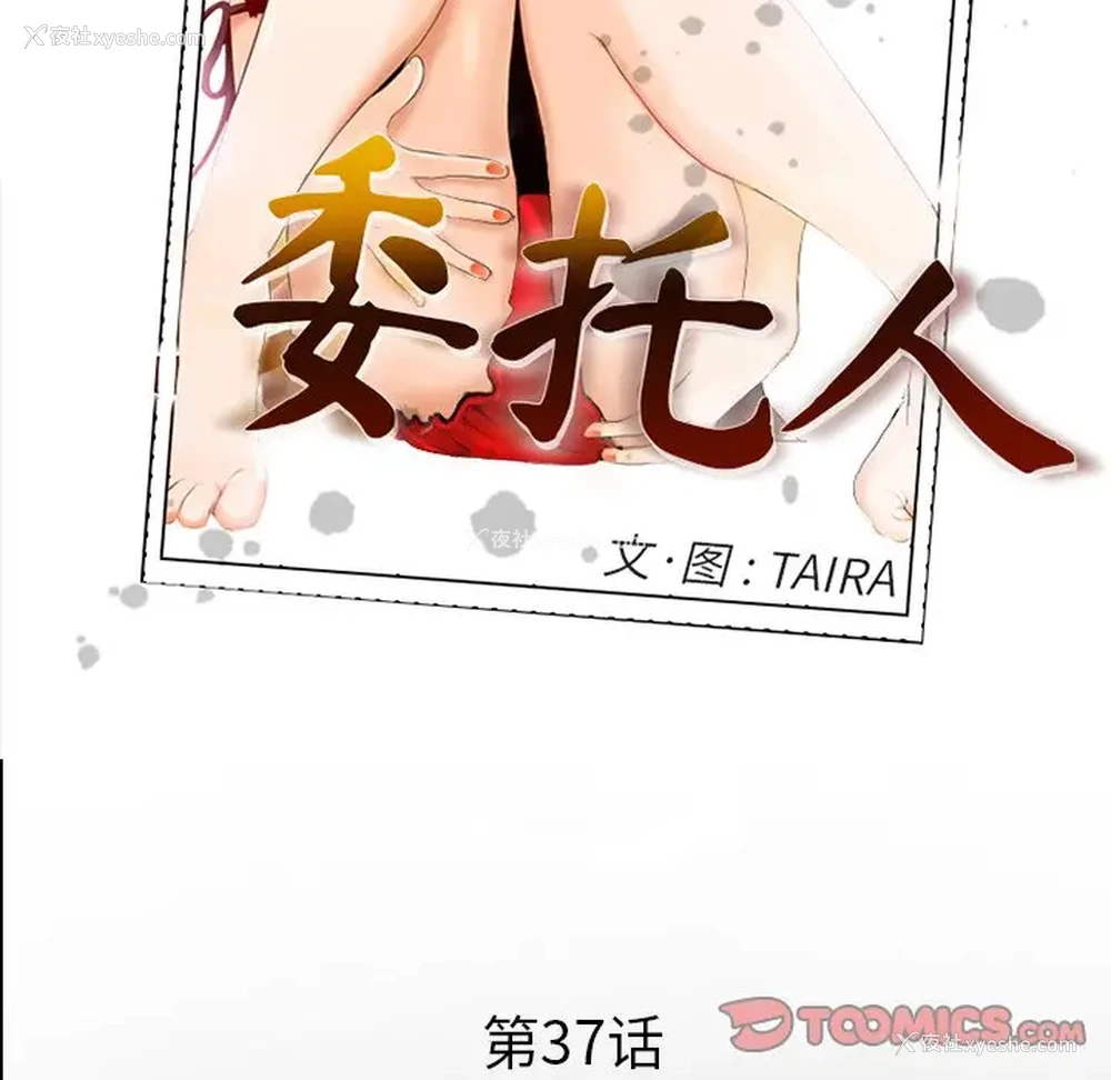 81P - 委托人
