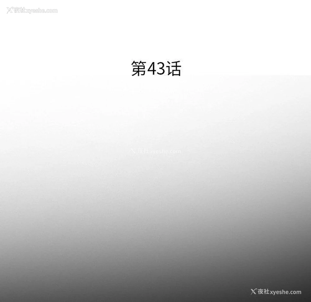 13P - 委托人