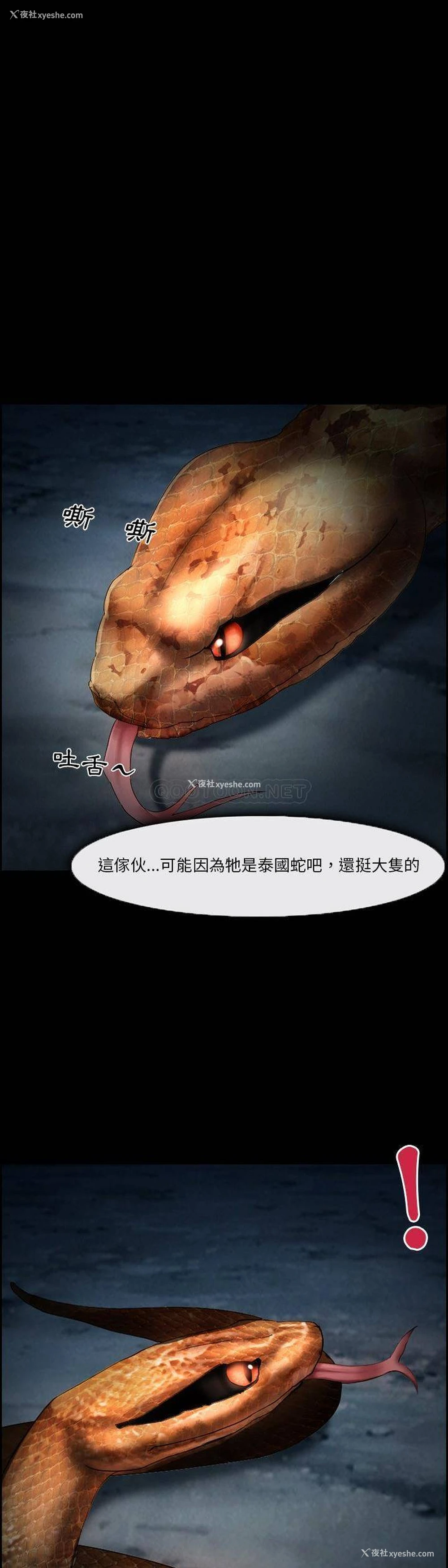5P - 委托人