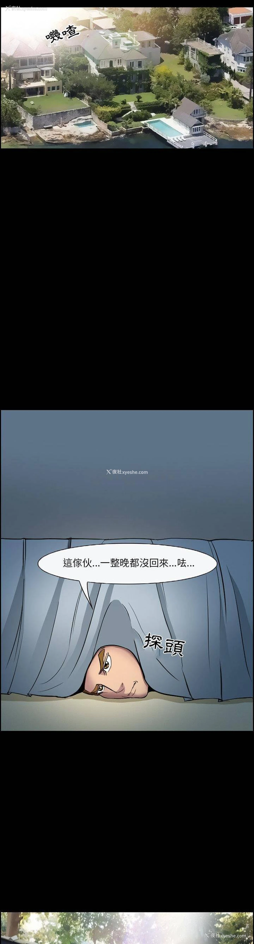 16P - 委托人