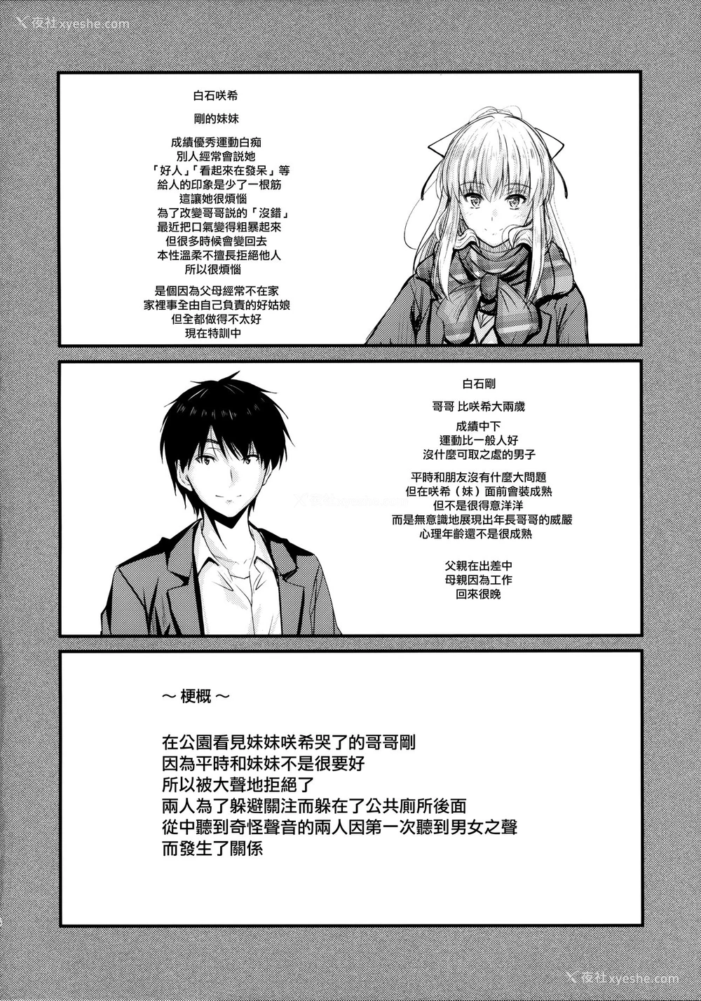 3P - (C94) [Junk Box (睦月)] 俺と妹のナイショゴト2 [中国翻訳]