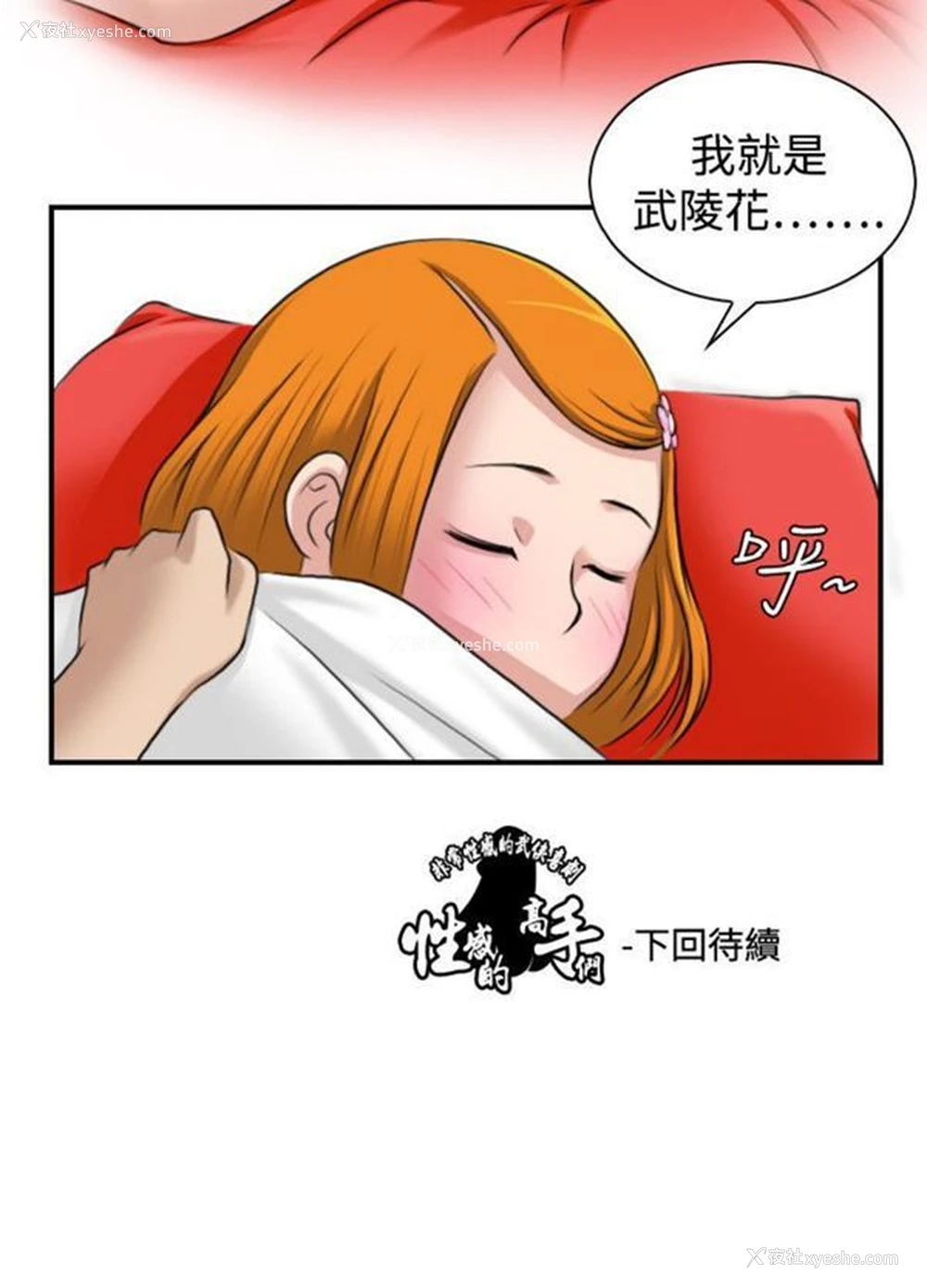 24P - 性感的高手们