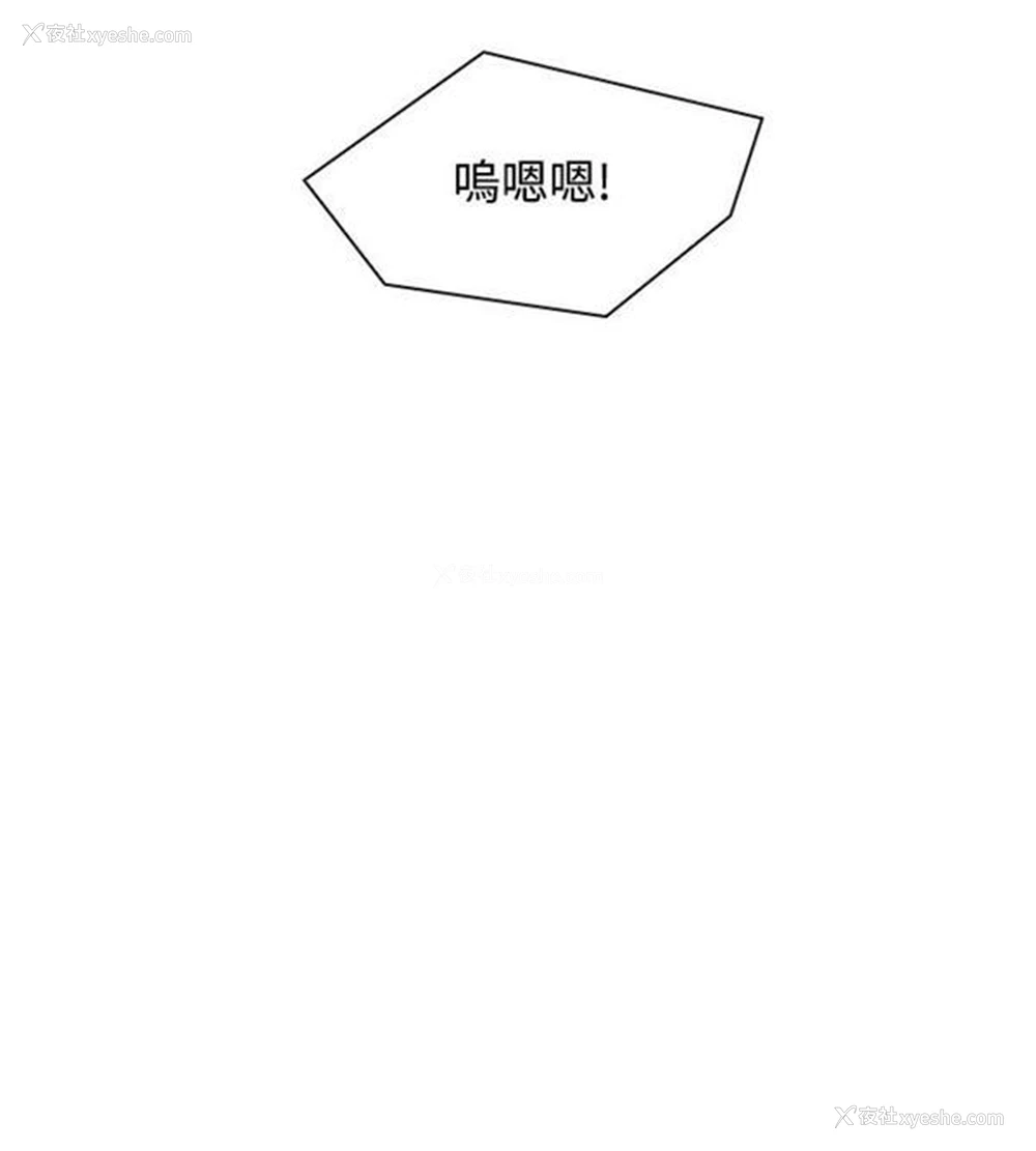 24P - 性感的高手们