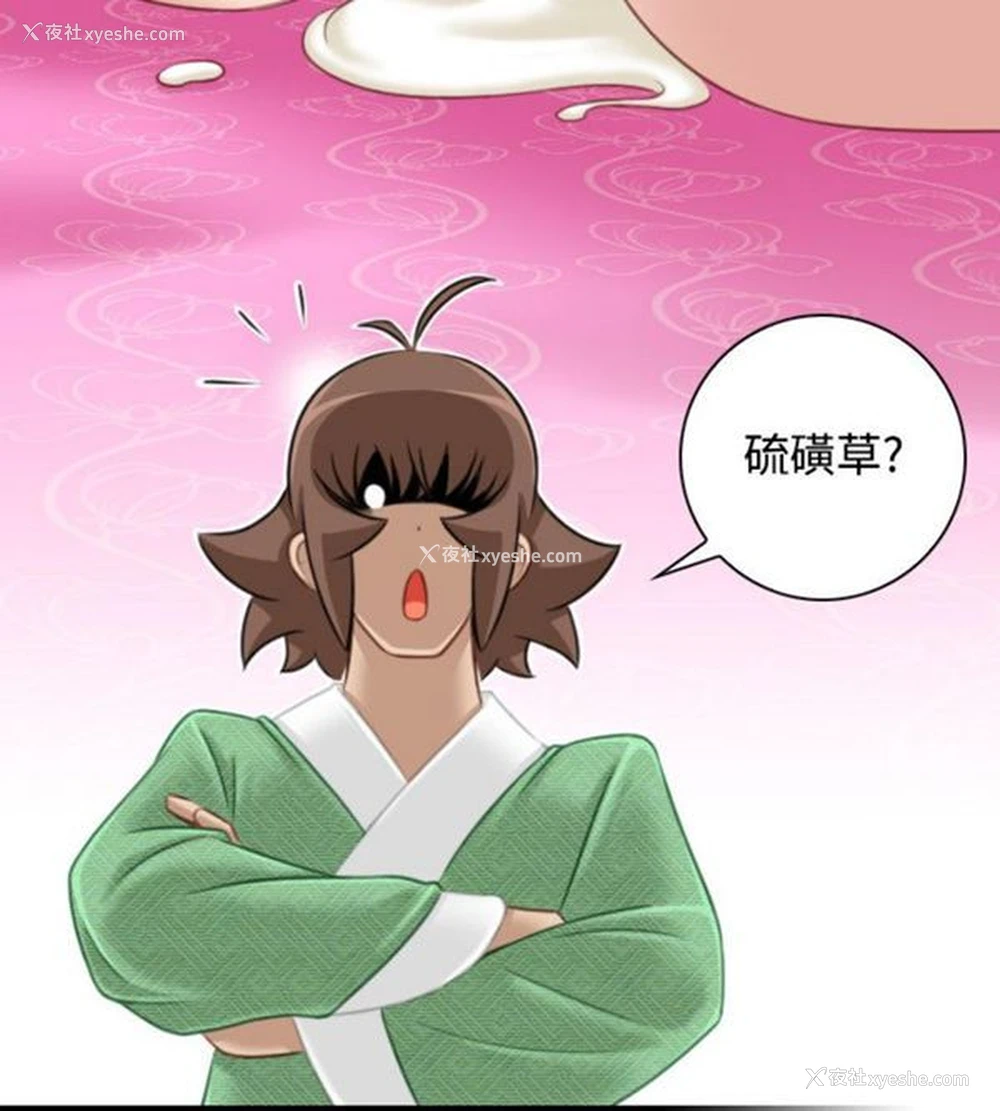 14P - 性感的高手们