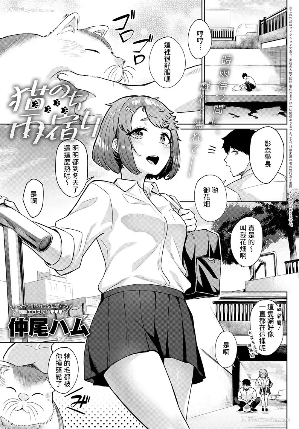 1P - [仲尾ハム] 猫のち雨宿り (COMIC アンスリウム 2021年4月号) [中国翻訳] [DL版]