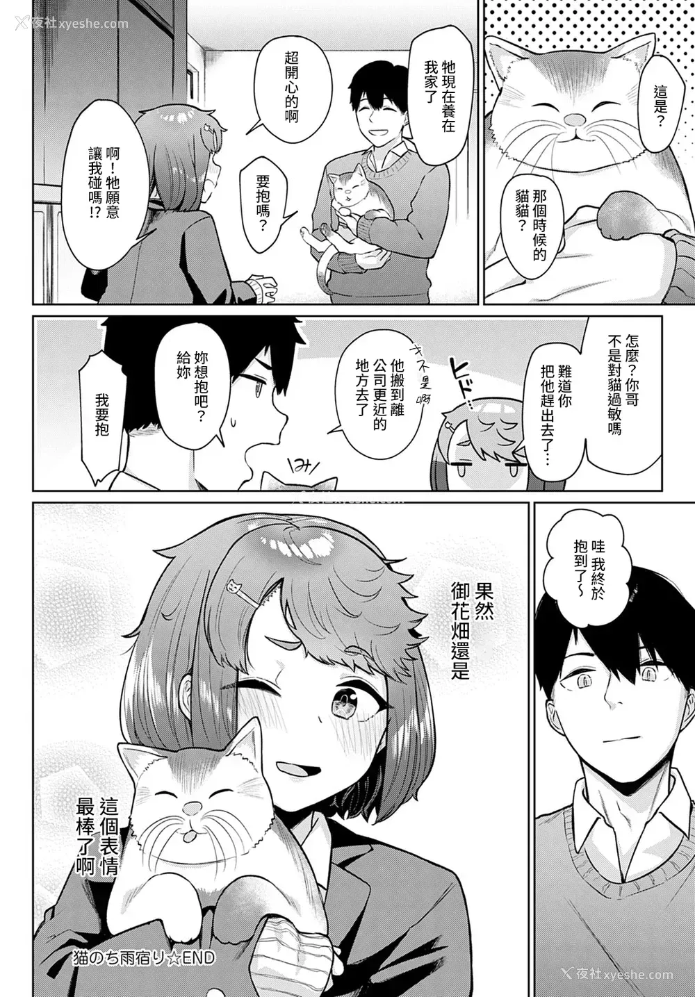 24P - [仲尾ハム] 猫のち雨宿り (COMIC アンスリウム 2021年4月号) [中国翻訳] [DL版]