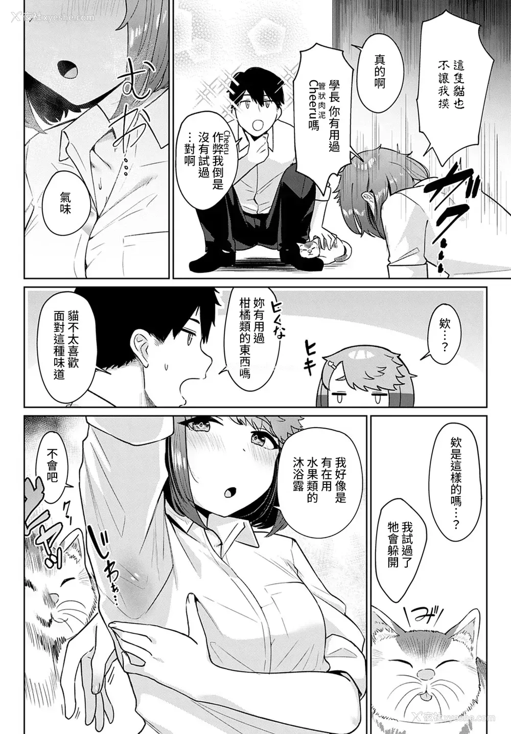 3P - [仲尾ハム] 猫のち雨宿り (COMIC アンスリウム 2021年4月号) [中国翻訳] [DL版]