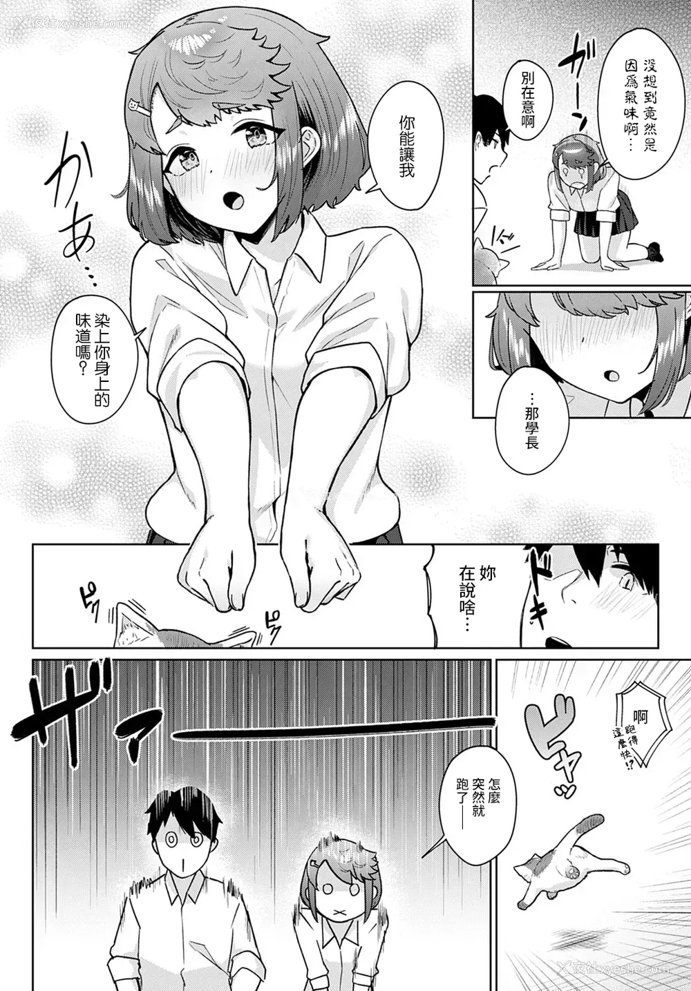 4P - [仲尾ハム] 猫のち雨宿り (COMIC アンスリウム 2021年4月号) [中国翻訳] [DL版]