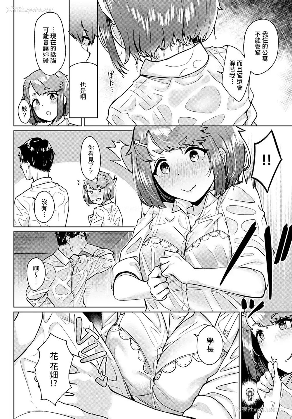 6P - [仲尾ハム] 猫のち雨宿り (COMIC アンスリウム 2021年4月号) [中国翻訳] [DL版]
