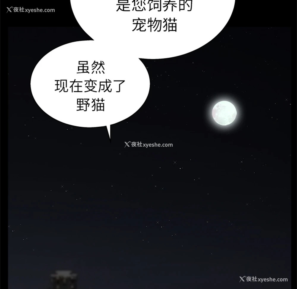 36P - 枷锁