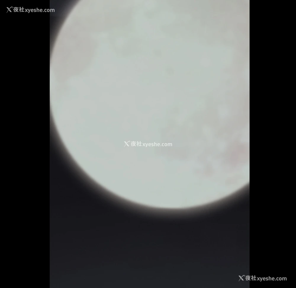 102P - 枷锁