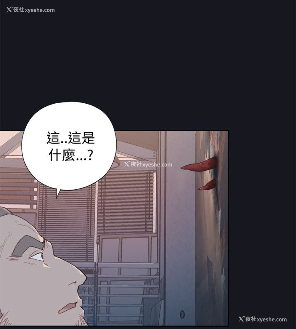 28P - 猩红之璧