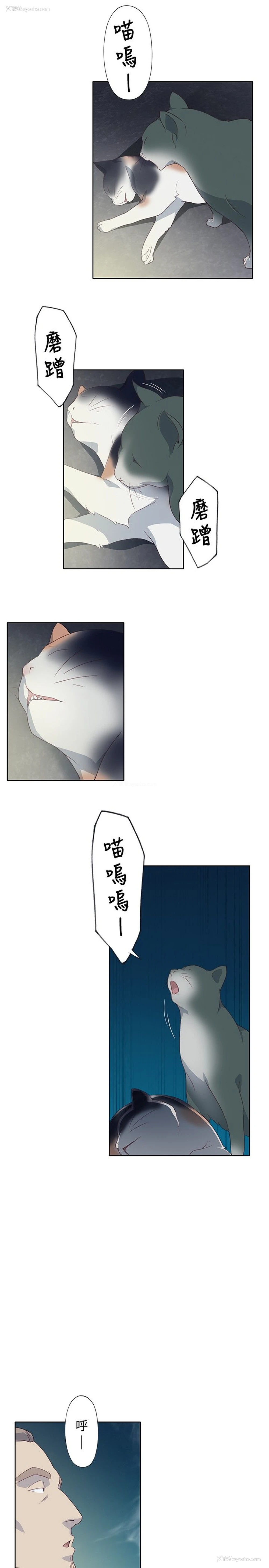 15P - 猩红之璧