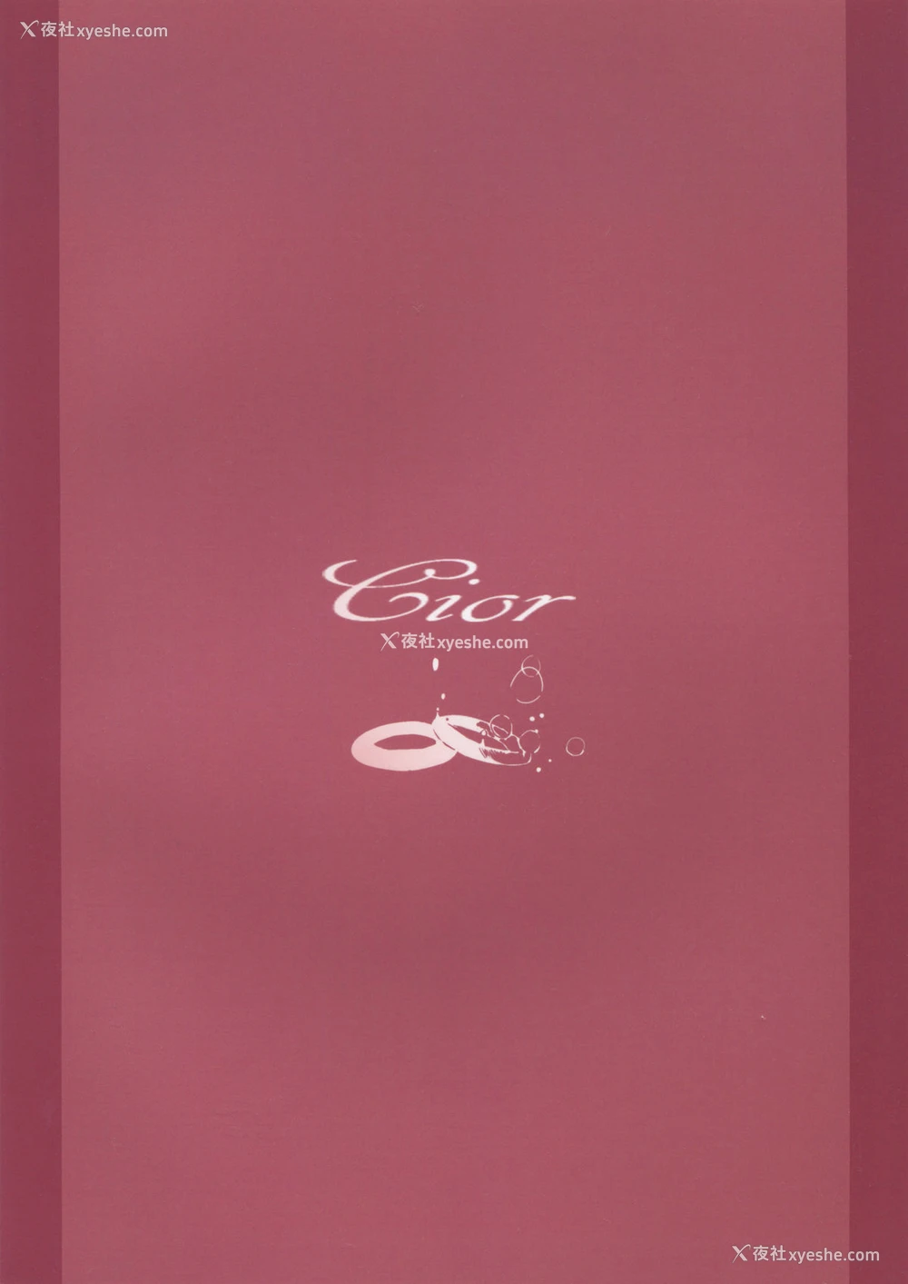 2P - (C89) [Cior (ken-1)] あすなま4 (ソードアート・オンライン) [中国翻訳]