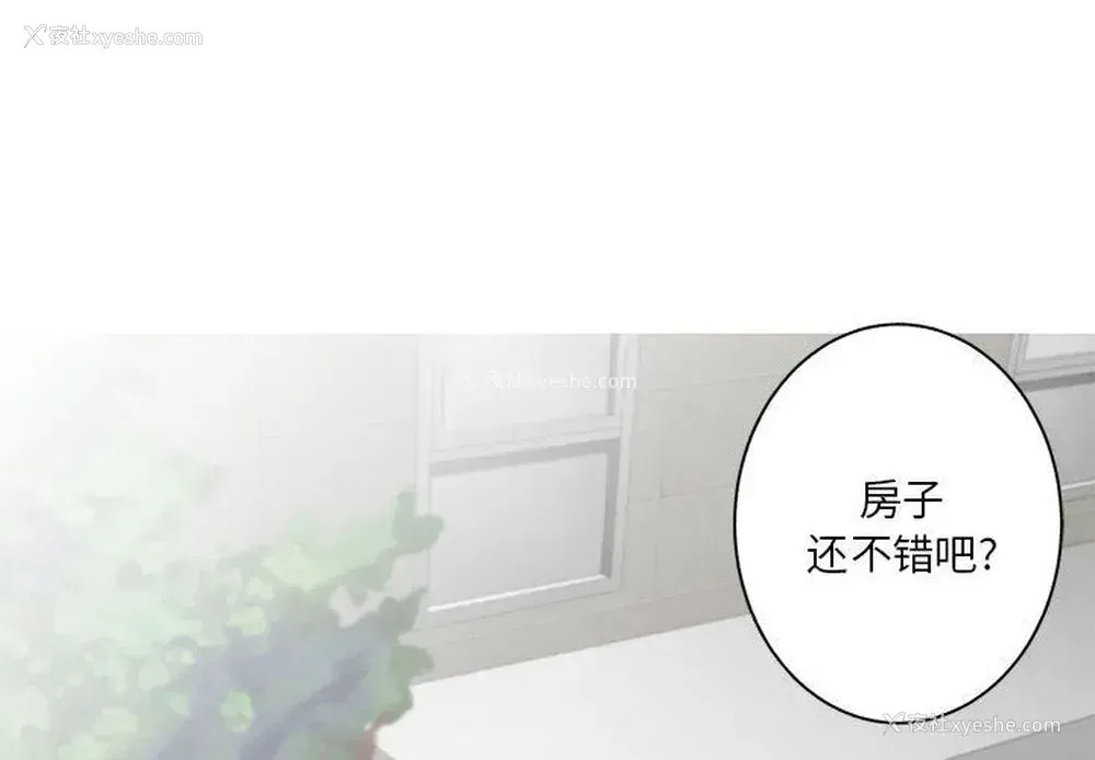 1P - 家有兔老公！