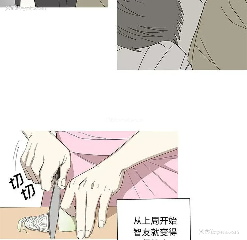 27P - 家有兔老公！
