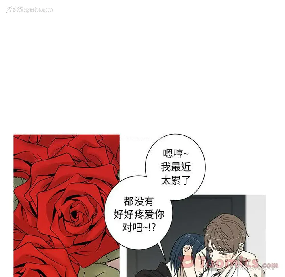 37P - 家有兔老公！